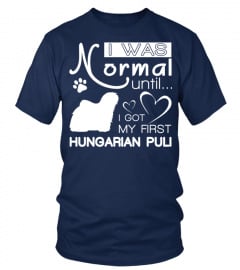Normal-until-Hungarian-Puli