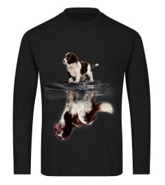 English Springer Spaniel