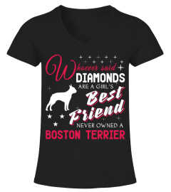 Boston Terrier lover cute t-shirt