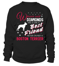 Boston Terrier lover cute t-shirt