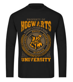 HOGWARTS UNIVERSITY