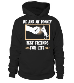 Best friends-My donkey