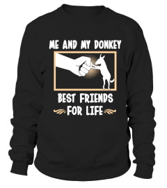 Best friends-My donkey