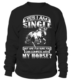 YES I AM SINGLE - MY HORSE