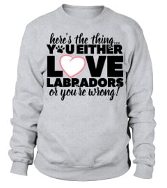 You Either Love Labradors T shirt