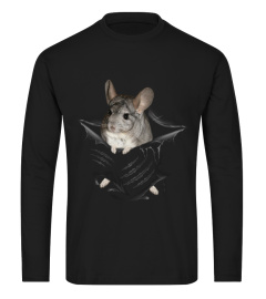 Chinchillas Scratch