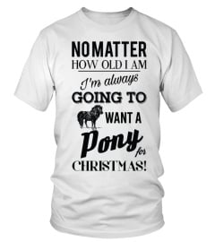 Pony For Christmas