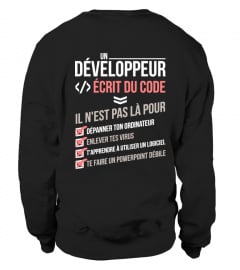 Développeur / codeur