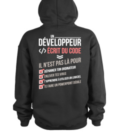 Développeur / codeur