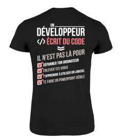 Développeur / codeur