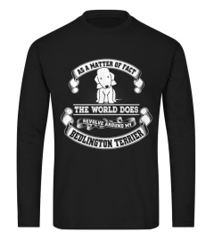 Best Bedlington Terrier Dog Lovers front 18 T Shirt