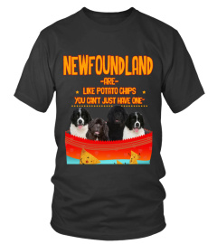 Newfoundland