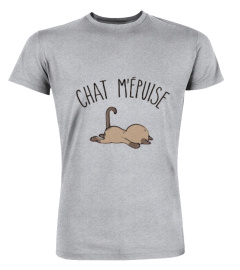 Chat m'épuise