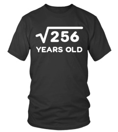 Square Root Of 256 Shirt For 16th Birthday Or 16 Year Old