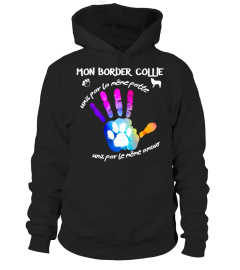 Unis par la même patte: BORDER COLLIE