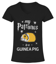 Guinea Pig Tshirt