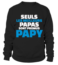 Seuls les meilleurs papas