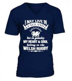 [T Shirt] 7-Welsh Rugby Shirt