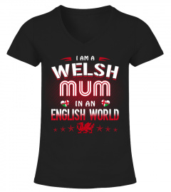 WELSH MUM - ENGLISH WORLD