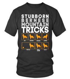 Stubborn Bernese Mountain Dog Training Tricks T-Shirt