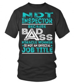 Ndt Inspector