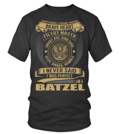 BATZEL - I Nerver Said