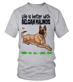 Life is better with Belgian Malinois