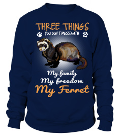 Three Things With My Ferret