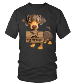 Dachshund - Short Legs..Big Attitude