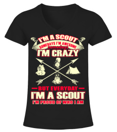 I'm A Scout