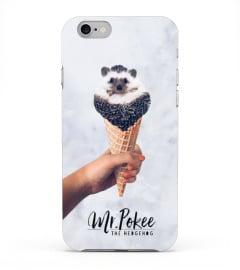 Mr.Pokee Ice Cream Case