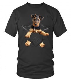 Airedale Terrier Scratch
