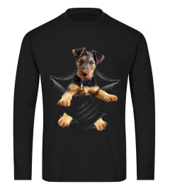 Airedale Terrier Scratch