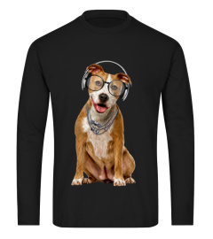 American Staffordshire Terrier DJ