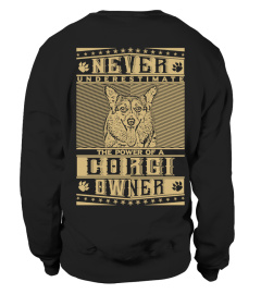 Never Underestimate Corgi Owner Power Tshirt Tee Hoodie