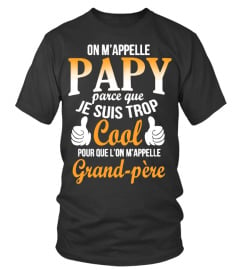  ON M'APPELLE PAPY PARCE QUE JE SUIS TROP COOL...