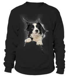 Border Collie 3D