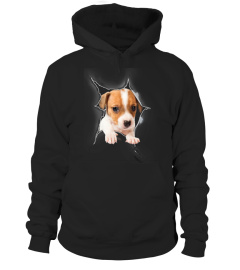 Jack Russell Terrier 3D