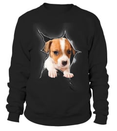 Jack Russell Terrier 3D