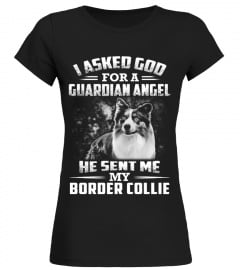 Border Collie Guardian Angel