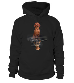 Vizsla