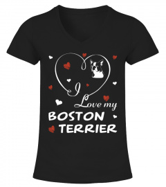 I love my Boston Terrier