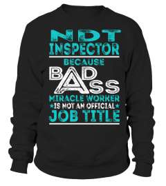 Ndt Inspector