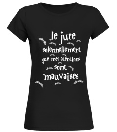 JE JURE SOLENNELLEMENT [HARRY POTTER]