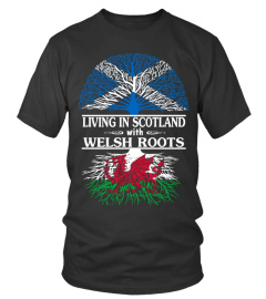 WELSH ROOTS