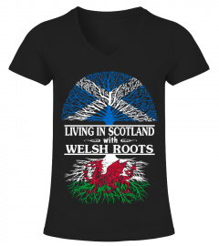 WELSH ROOTS