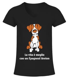 Épagneul Breton