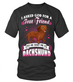 TRUE FRIEND DACHSHUND