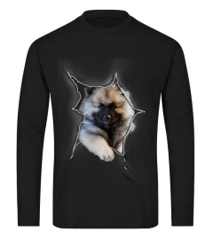 Keeshond 3D