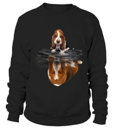 Basset Hound Dreaming